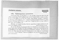 Image Associated With the Occurence